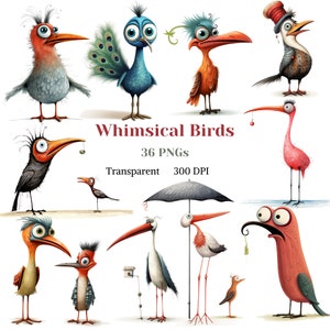 ClipArt d'oiseaux fantaisistes, PNG d'oiseaux originaux, graphique d'animaux amusants, image d'oiseaux aux grands yeux, illustration de cigogne, pic, paon, téléchargement numérique