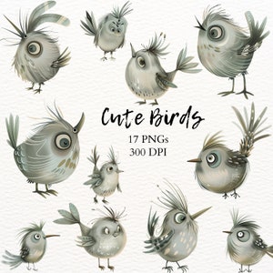 Cute Bird Clipart Transparent Watercolor PNG Funny Animal Drawing Cartoon Illustrations Whimsical Junk Journal Art Quirky Big Eyes Graphic