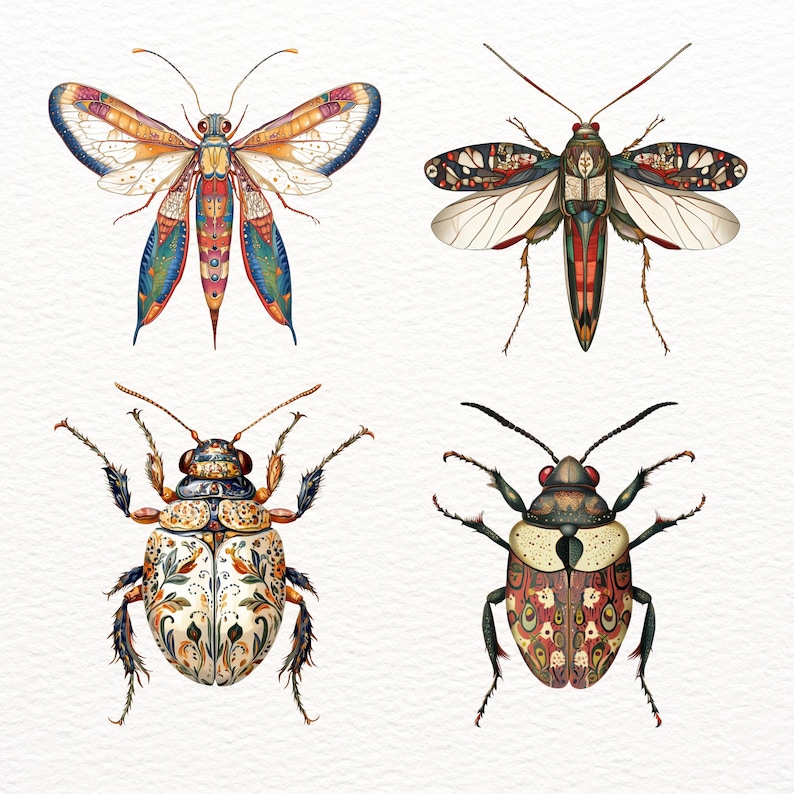 Vintage Insect Clipart Transparent Insect Wing Fantasy Graphic Rustic ...