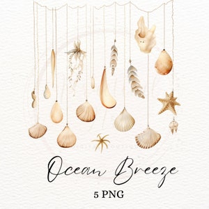 Clipart van een schelpenkrans in de oceaan, aquarel Boho beige schelpenframe PNG, afbeelding van een hangende krans in koraal, afbeelding van een zomerstrand, digitale download