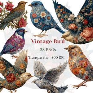 Könnte beinhalten: Eine Sammlung von Vintage-Vogelillustrationen in verschiedenen Farben und Mustern. Die Vögel weisen florale Designs und komplizierte Details auf, mit dem Text "Vintage Bird" und "28 PNGs" sichtbar. Das Bild ist transparent und hat eine Auflösung von 300 DPI.
