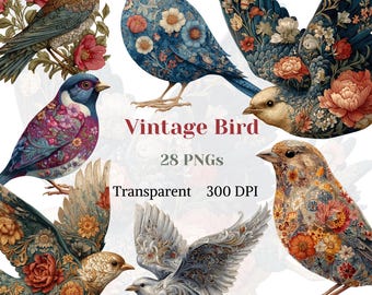 May include: A collection of vintage bird illustrations in various colors and patterns. The birds feature floral designs and intricate details, with the text "Vintage Bird" and "28 PNGs" visible. The image is transparent and has a 300 DPI resolution.
