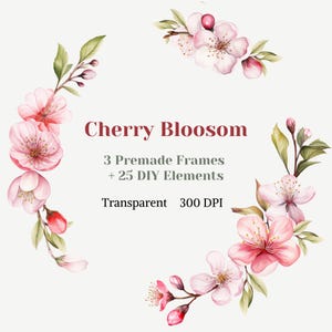 Clipart de fleur de cerisier, élément de fleur aquarelle PNG, image individuelle de bricolage de fleur de cerisier, arrangement de cadre de couronne, carte de mariage rose