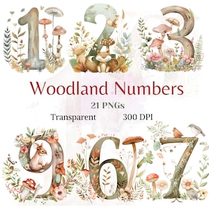 Clipart di numeri del bosco, grafica di compleanno della foresta dell'acquerello, illustrazione del primo compleanno, disegno di numeri carini, immagine neutra del baby shower