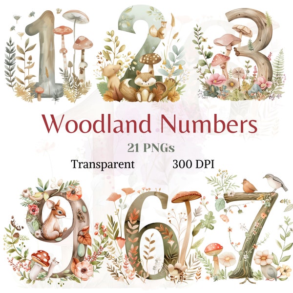 Woodland Numbers Clipart Watercolor Transparent Forest Graphic Name Birthday Illustration Cute Letter Drawing Neutral Baby shower Art Image
