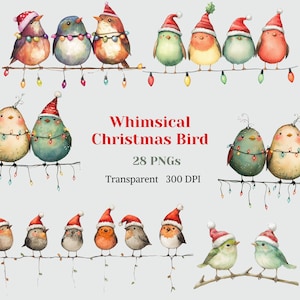 Whimsical Christmas Birds Clipart, Watercolor Cute Funny Bird PNG, Festive Noel Graphic, Winter Holiday Art, Bird on cable, Digital Download