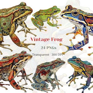 ClipArt rana vintage, PNG rana arborea, immagine rustica floreale di anfibio, grafica di animali da stagno, illustrazione di zone umide, arte del rospo, download digitale