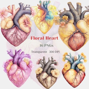 Floral Heart ClipArt, Valentine's Day Heart PNG, Human Anatomical Heart Love Graphic, Patel Flower Heart Image, Watercolor, Digital Download