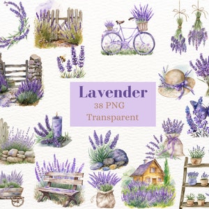 Clipart de aquarela de lavanda, PNG de flor roxa, Gráfico floral de Provence, Desenho botânico de primavera e verão, Imagem de jardim lilás, Buquê de guirlanda