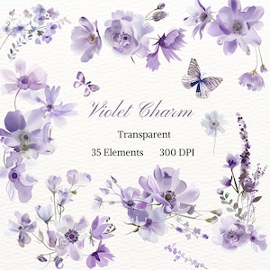 Violeta encanto ClipArt transparente acuarela PNG púrpura flora imagen flor dibujo fantasía, pétalo abstracto dejar gráfico lila imagen botánica