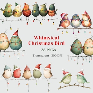 Clipart di uccelli natalizi stravaganti, acquerello, uccello carino e divertente, PNG, grafica invernale di Natale, immagine festiva, uccello sul cavo, download digitale