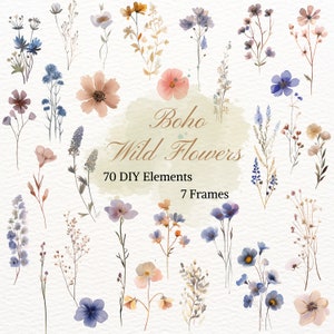 Clipart di fiori selvatici Boho, elemento grafico di fiori selvatici di prato, PNG di singoli fiori selvatici, disegno floreale ad acquerello, primavera estate delicata