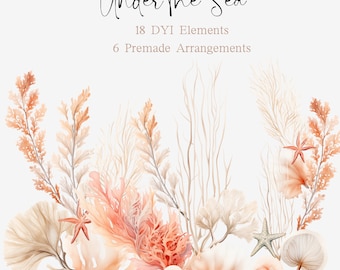 Under The Sea Clipart, Watercolor Ocean Seashell PNG, Beach Sand Image, Starfish Coral Graphic, Tropical Wedding Invitation,Digital Download