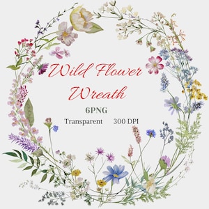 Könnte beinhalten: Aquarell-Illustration eines Wildblumenkranzes. Der Kranz besteht aus verschiedenen bunten Blumen und Grün, mit dem Text "Wild Flower Wreath" in roter Schrift. Zusätzlicher Text enthält "6PNG", "Transparent" und "300 DPI".
