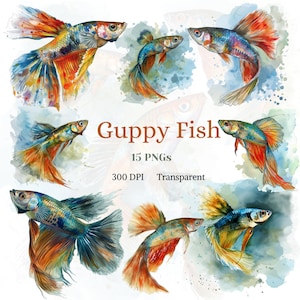 グッピー魚のクリップアート、水彩魚 PNG、ペット動物の絵、水族館動物の絵、水槽ショップのグラフィック、ペットショップのデザイン、素晴らしいアート