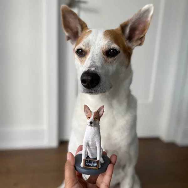 Customized pet bobbleheads，Pet Birthday Cake Hats，Pet Gifts，Memorial Pet Gift，Pet Customization(Receive as soon as 7-10 days)