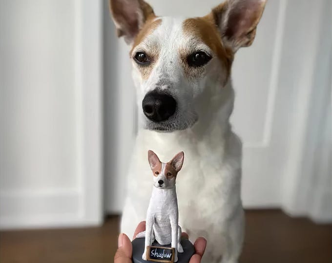 Custom Pet Bobblehead: Personalized Pet Memorial Gift