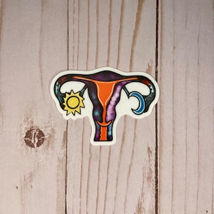 Galaxy Uterus Sticker || Women’s Rights sticker || OBGYN gift || Chronic illness sticker || Water bottle sticker || Waterproof sticker