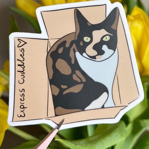 Express Cuddles Cat in Box 3” Vinyl Sticker