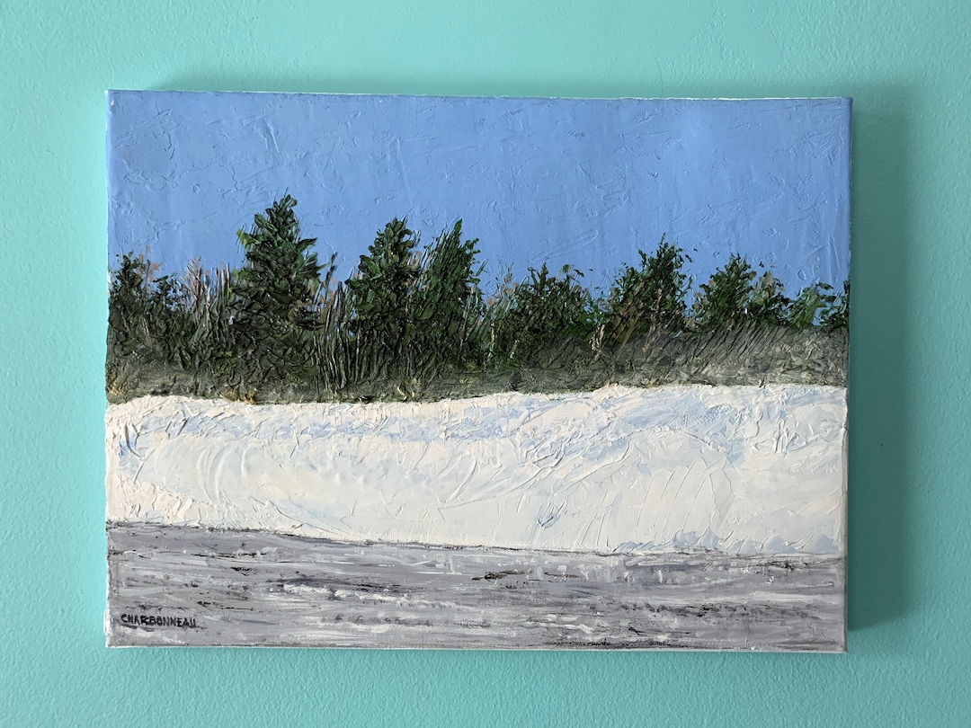 Winter Landscape Oil on Canvas Painting by Canadian Painter Brent Charbonneau Blowing Snow