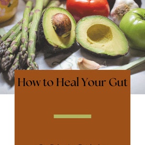 How to Heal Your Gut Ebook