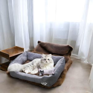 May include: A gray and brown cat bed with a plush brown outer layer and a gray inner layer. A white and gray cat is lying in the bed with a pink pillow that says "London Street" and has a black cat illustration on it.