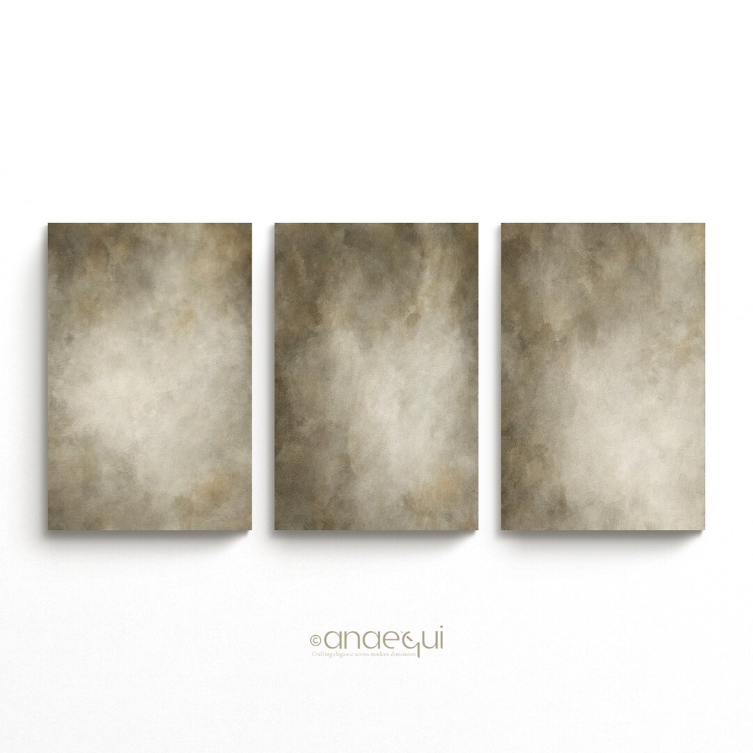 Wabi-sabi Wall Art Set of 3 Organic Abstract Textured Earthy Color ...