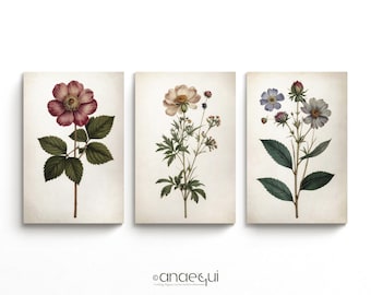 May include: Three botanical art prints featuring detailed illustrations of flowers. The prints showcase a variety of blooms in shades of pink, cream, and purple, with green foliage. The artwork is set against a vintage-style, off-white background.