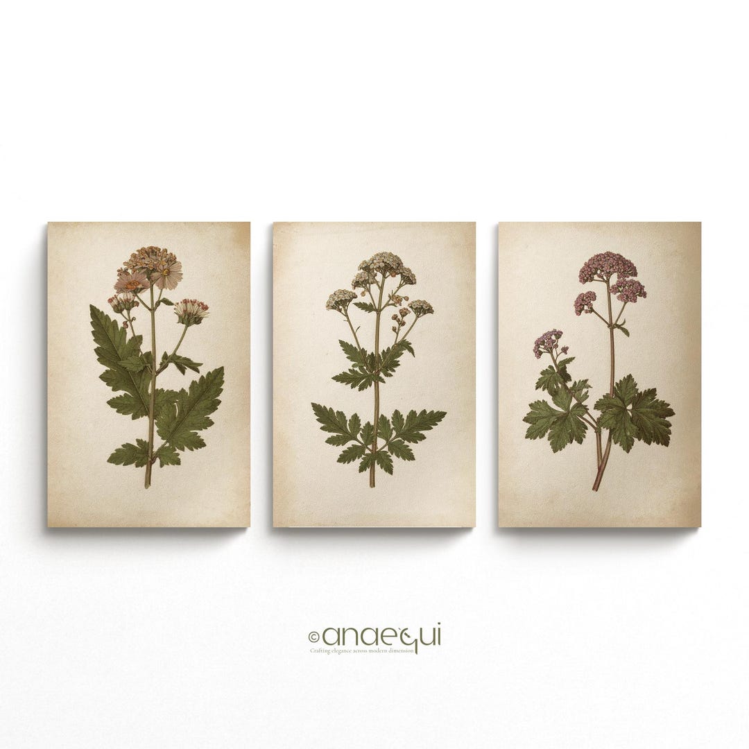 Wildflower Botanical Print Set of 3 | Vintage Farmhouse Wall Art ...
