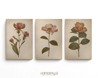 Vintage Floral Print Set | Neutral Botanical Triptych (Digital Download)