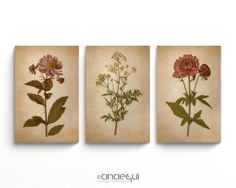 Vintage Botanical Prints Set | Antique Flower Triptych (Digital Download)