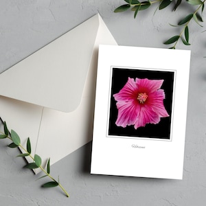 de voeux fleurs d'hibiscus | Lot de 6 |Carte vierge rose | de correspondance vierge de fleur jaune de Zazzle.be Liste d'envies Vous avez des idées ? Occasion florale nature | Numérique