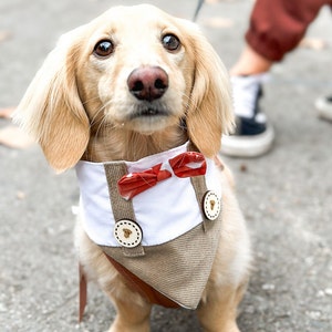 Hond Bandana Love Bretel | Valentijnsdag