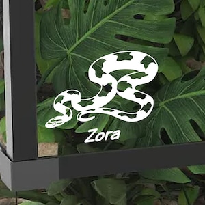 May include: White and black snake illustration with the name "Zora" in a cursive font. The snake design is set against a backdrop of large green leaves. The image is framed by a black border.