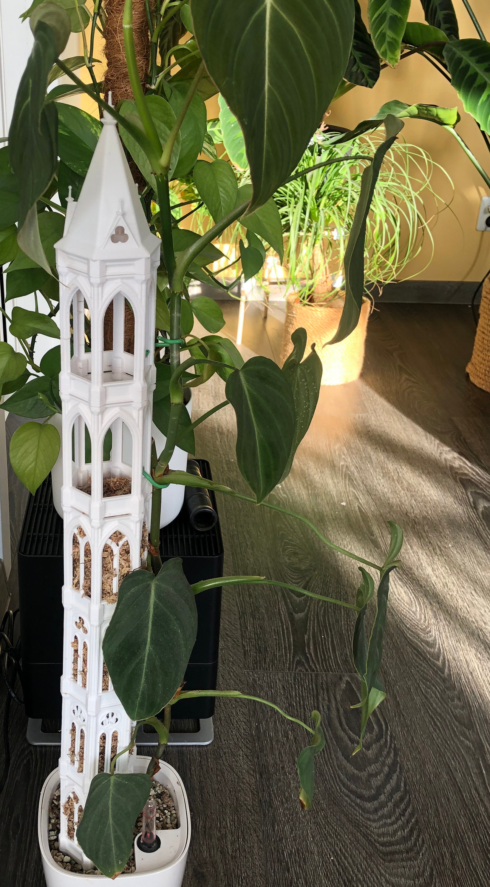 3D Türmchen aus Moos für Pflanzen