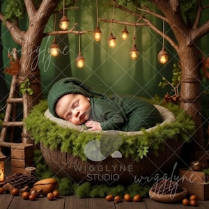 Woodland Newborn Digital Backdrop: Forest Cradle, Lanterns (JPEG)