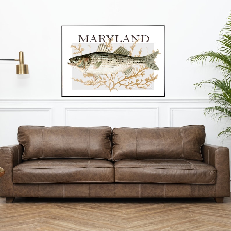 Maryland Rockfish Striped Bass Digital Art Print Etsy