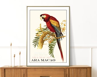 Macaw Tropical Bird Botanical Digital Wall Art Poster