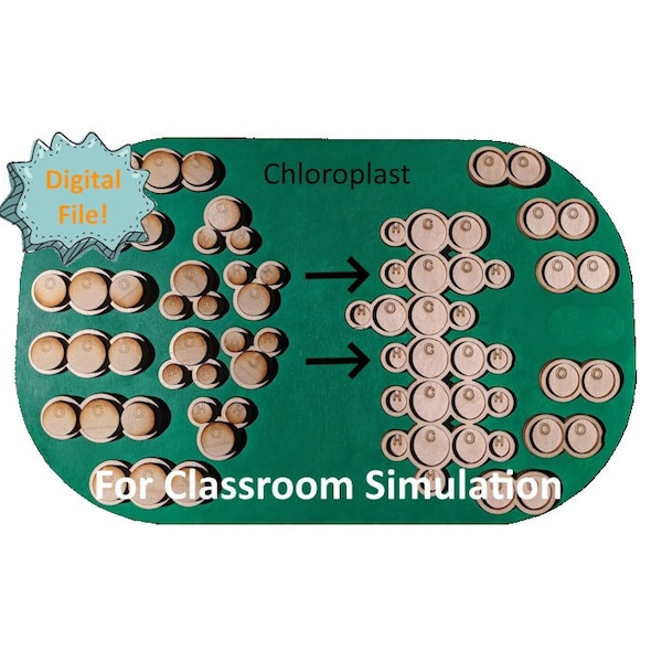 Photosynthesis and Respiration Simulation Manipulatives | biology life science teacher lesson plan | laser cut file | svg | Glowforge