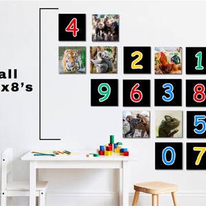 May include: A wall with a grid of 8x8 squares, each containing a different animal picture and a number. The numbers are in different colours, including red, blue, green, and yellow. The animals include a tiger, a koala, a rooster, a chameleon, a monkey, pigs, and cows.