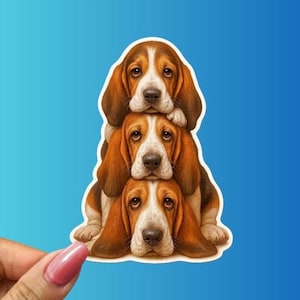 May include: A sticker featuring three stacked Basset Hound dogs. The dogs have brown and white fur, with long, floppy ears and soulful eyes. The sticker has a white border and is set against a blue background.
