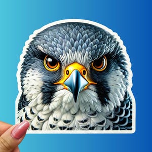 Majestic Peregrine Falcon Sticker Fierce Bird of Prey Vinyl Decal Patriotic Wildlife Art Gift for Nature Lovers Laptop Water Bottle