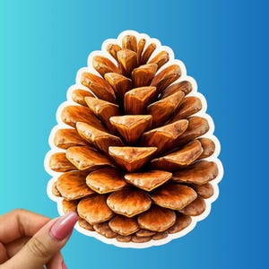 May include: A detailed sticker of a pine cone with a white border. The pine cone is brown with a textured surface and is set against a blue background. The sticker is held by a hand with a pink nail polish.