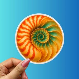 May include: A round sticker featuring a nautilus shell design. The shell is depicted in shades of orange, yellow, and green, with a white border. The sticker is held against a blue background.