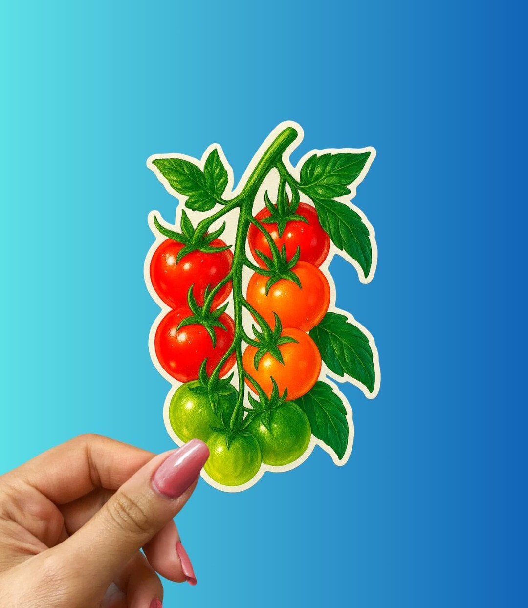 Tomato Sticker Rwards Tomato Vine Sticker: Realistic Botanical Garden Vinyl Decal - Etsy
