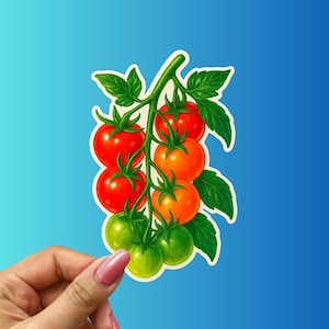 Realistic Tomato Vine Sticker – Branch with Ripe to Green Tomatoes Botanical Garden Vinyl Decal for Laptops Water Bottles and Journals