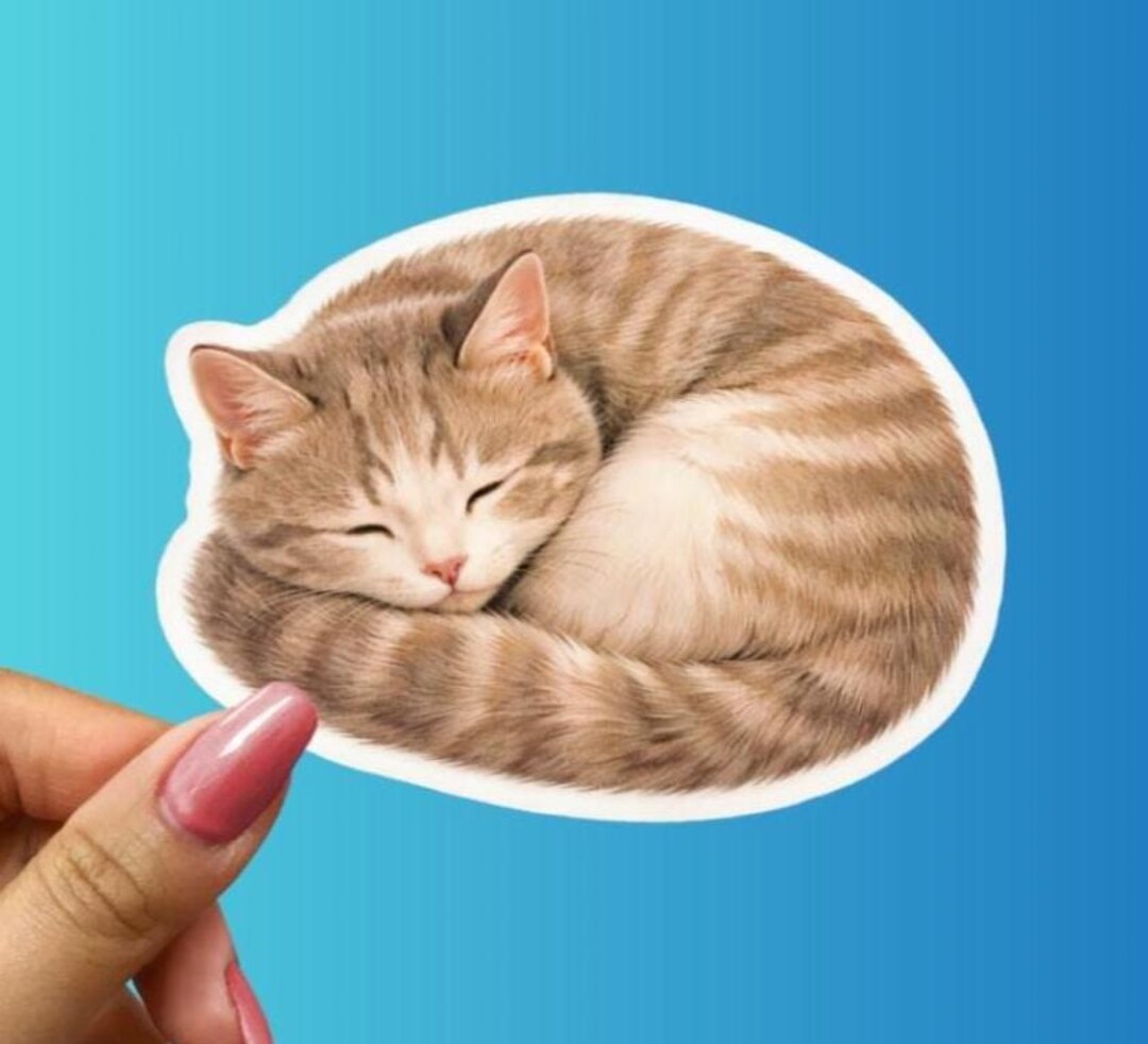 Cozy Cat Sticker – Sleepy Curled Kitty Napping Decal - Etsy