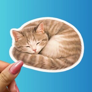 May include: A sticker featuring a curled-up tabby cat with closed eyes. The cat has brown and white fur with stripes. The sticker has a white border and is held by a hand with a pink nail polish.