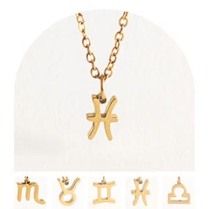 Zodiac Necklace Pisces Necklace February Necklace March Necklace, Sterling Silver Necklace With Pisces Charm, Pisces Jewellery