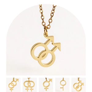 Homoketting, homoketting, keuze uit brons of zilveren Rolo-ketting, cadeaus voor homomannen, LGBT-sieraden, LGBTQ+-ketting
